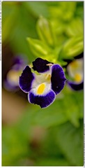 s_DSC_0100