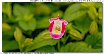 s_DSC_0102