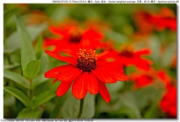s_DSC_0110