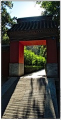 s_DSC_0287
