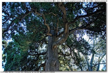 s_DSC_0222