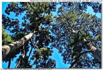 s_DSC_0230