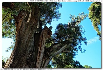 s_DSC_0231