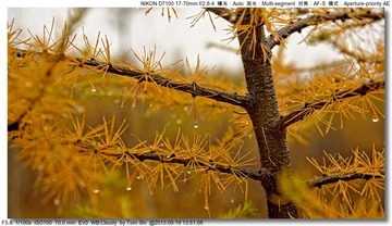 s_DSC_0918