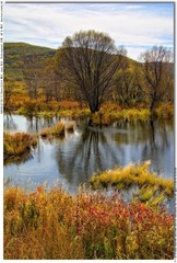 s_DSC_0434