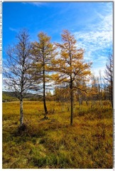 s_DSC_0445