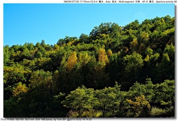 s_DSC_2084