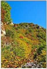 s_DSC_2464
