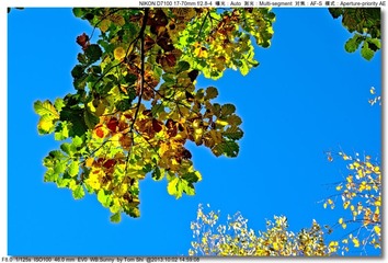 s_DSC_2128