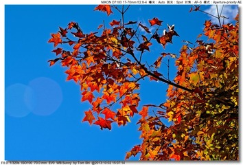 s_DSC_2142