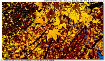 s_DSC_2169