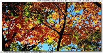 s_DSC_2103