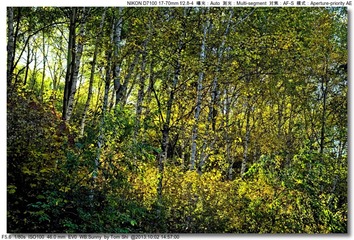 s_DSC_2123