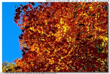 s_DSC_2166