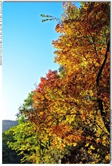 s_DSC_2173