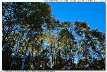 s_DSC_2179