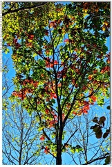 s_DSC_2180