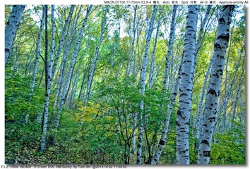 s_DSC_2206
