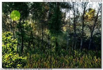 s_DSC_2307