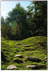 s_DSC_2363