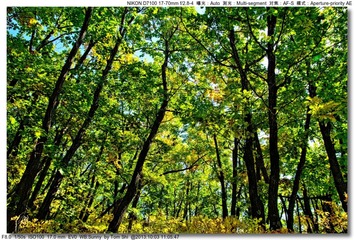 s_DSC_2458