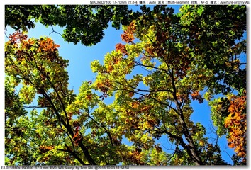 s_DSC_2519
