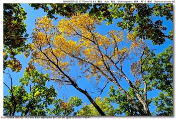 s_DSC_2520