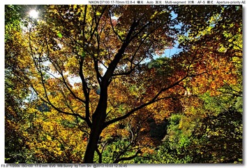 s_DSC_2537