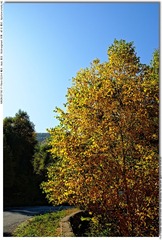 s_DSC_2579