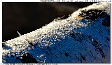 s_DSC_2368