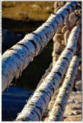 s_DSC_2371