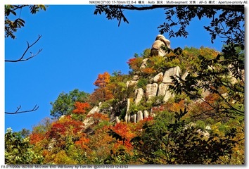 s_DSC_2544