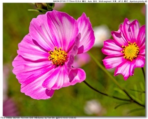 s_DSC_2551