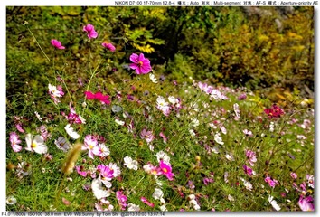 s_DSC_2556
