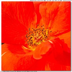 s_DSC_2586