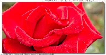 s_DSC_2587