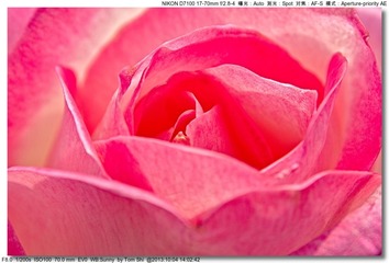 s_DSC_2598