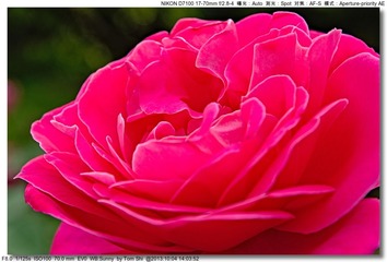 s_DSC_2600