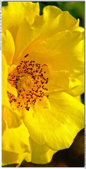 s_DSC_2621