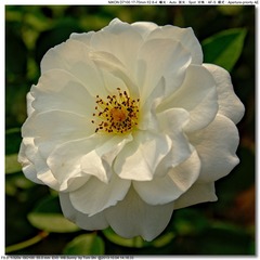 s_DSC_2627