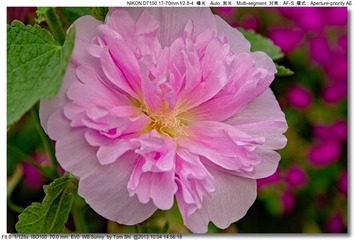 s_DSC_2673