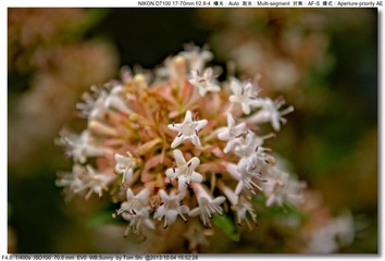 s_DSC_2752