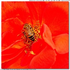 s_DSC_2615
