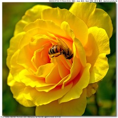 s_DSC_2625