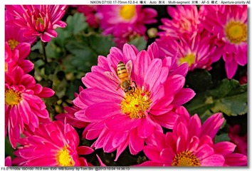 s_DSC_2658