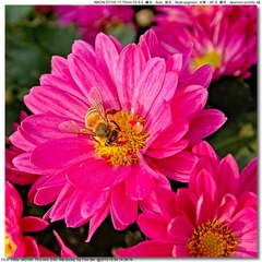s_DSC_2660
