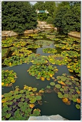 s_DSC_2705