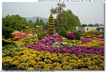 s_DSC_2750