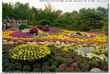 s_DSC_2754