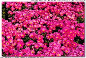 s_DSC_2652